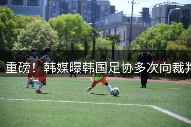 重磅！韩媒曝韩国足协多次向裁判提供性服务 包括世预赛