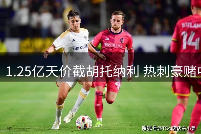 1.25亿天价截胡托纳利 热刺豪赌中场能否收获回报